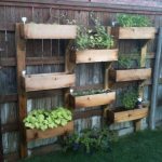 (60 photos) How to properly make a decorative vegetable garden 40 photos