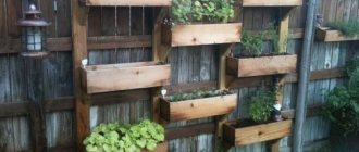 (60 photos) How to properly make a decorative vegetable garden 40 photos