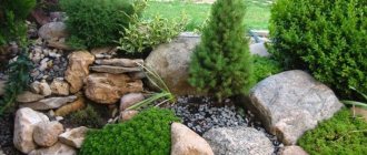 (73 photos) Rockery in landscape design