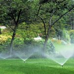 Automatic watering of an area with trees