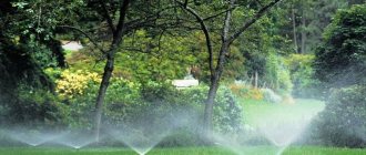 Automatic watering of an area with trees