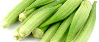 Okra