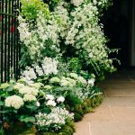 Белый цветник возле дома