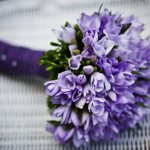 bouquet of purple flowers