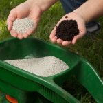 How to fertilize the soil in the fall if there is no manure?