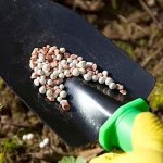 what to fertilize in spring