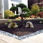 What is tapeworm in landscape design