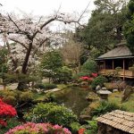 Flowering plants