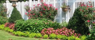 long flower bed along the fence