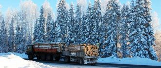 hand-cut log houses