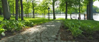 paving stone path