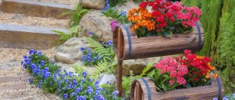 Two-level flowerbed with bright flowers