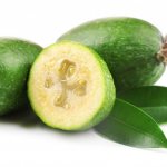 Feijoa