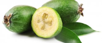 Feijoa