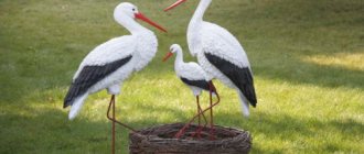 Stork figurines for the garden