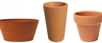 Shape of flower pots