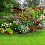 Lawns and flower beds at the dacha: photos of unusual ideas