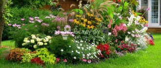 Lawns and flower beds at the dacha: photos of unusual ideas