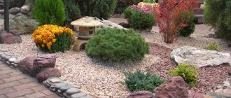 gravel garden as a type of rock garden