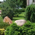 Conifers in landscape design: plants for the garden and dacha, ready-made compositions in front of the house with thujas and junipers - 41 photos