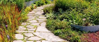 idea of ​​using unusual garden paths