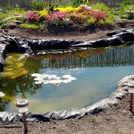 Artificial pond at the dacha. How to make: from film or plastic? 