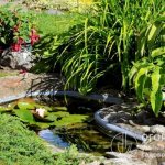 An artificial pond serves as an excellent decoration for landscape design even in small areas, but requires constant maintenance