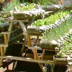 using plastic bottles in the garden