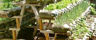 using plastic bottles in the garden