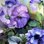 The history of violets