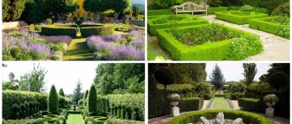 french garden image