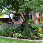 How to arrange a flower garden under a tree: design of tree trunk circles