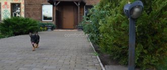 How to make paths in your country house from paving slabs yourself