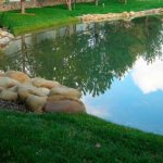 How to make an artificial fish pond on your property