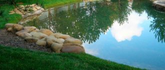 How to make an artificial fish pond on your property