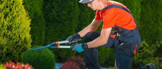 How to choose garden pruners