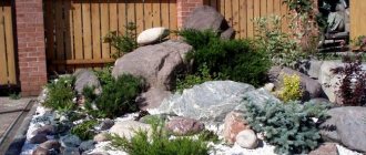 rocky hill rock garden