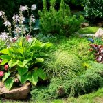 Flowerbed with hosta and ground covers