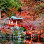 Japanese style flower bed