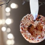 DIY bird food