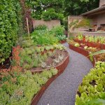 Landscape design of a vegetable garden with flower beds of vegetables and herbs