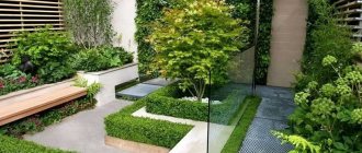 landscape design in minimalist style