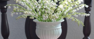 Lilies of the valley will be a wonderful decoration for your home.