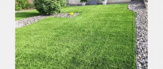 Artificial turf front lawn