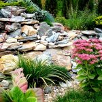 Perennial flowers for alpine slides and rockeries