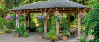 Canopy in the yard