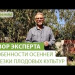 Нажмите, чтобы запустить видео