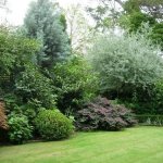 unusual landscape design of a summer cottage in the English style with trees