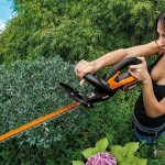 Trimming bushes with a hedge trimmer