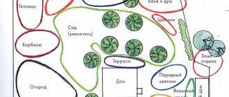 Обустройство участка с нуля. С чего начать?